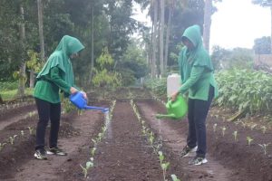 Awali Tahun 2024, Yonarmed 1 Kostrad melaksanakan kegiatan Ketahanan Pangan