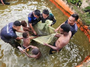 Panen Raya Monster Afrika di Perairan Mamba, Satgas Yonif 330 Kostrad buat Warga Intan Jaya Tersenyum Bahagia
