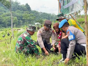 Penanaman dan Penghijauan Satuan Yonzipur 10 Kostrad