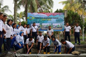 Dukung Program Ketahanan Pangan, Lanal Dumai Gelar Panen Raya Budidaya Lele