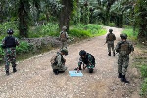Satgas Pamtas Yonarmed 10 Kostrad dan TDM Pratoli Patok Gabungan di Perbatasan Kalbar