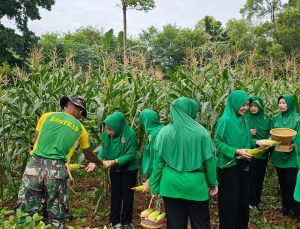 Batalyon Armed 9 Kostrad Mendukung Ketahanan Pangan dan Citra TNI Bersatu dengan Alam
