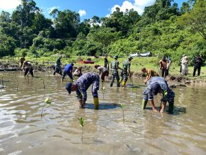 Wujudkan Sinergitas TNI-Polri, Babinpotmar Lanal Simeulue Ikuti Penanaman Mangrove Serentak