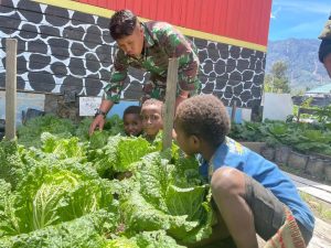 Panen Sawi Putih Bikin Nagih, Ksatria Yonif 330 Kostrad Edukasi Bocil Intan Jaya