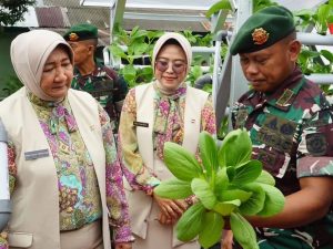 Ketua Persit Kartika Chandra Kirana Gabungan Kostrad Tinjau Fasilitas Sekolah dan Hanpangan Persit Yonarmed 6 Kostrad