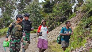 Sambut HUT ke-63 Kostrad, Satgas Yonif 330 Kostrad Tanam 100 Bibit Pohon Mahoni, Mitigasi Dampak Deforestasi Hutan di Intan Jaya