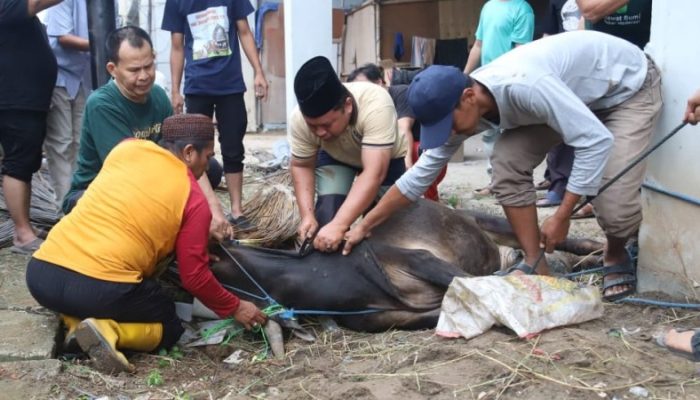 Kemenag DKI Jakarta Ajak Masyarakat Perkuat Ukhuwah dan Kepedulian Sosial Melalui Kurban