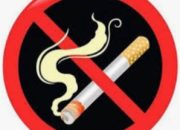 Fatayat Nahdlatul Ulama (NU) Desak Pengesahan RPP Kesehatan: Perlindungan Anak dari Intaian Industri Rokok