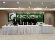 PT GOZCO Plantations Tbk (“GZCO” atau “Perseroan”) Sepanjang Tahun 2022 Dan Membukukan Lonjakan Laba Bersih Sebesar Rp75,63 miliar