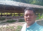 NGERI !! Diduga Kadang Ayam Tak Ada Izin Ini Buat Resah Warga, Bahkan..