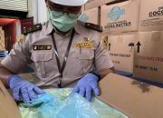 Karantina Periksa 540 Ton Kakao Olahan Dari Kepri Tujuan Eropa dan Amerika