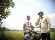 BULOG Cetak Rekor Tertinggi 10 Tahun Terakhir, Penyerapan Gabah Petani Capai 725.000 Ton Setara Beras