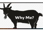 Kambing Hitam Itu Bernama UU TNI