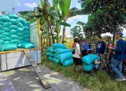 Tembus 1 Juta Ton, BULOG Terus Optimalkan Penyerapan Manfaatkan Momentum Panen Raya