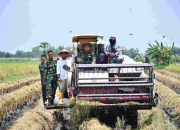 Kodim 0815/Mojokerto Berikan Apresiasi atas Bulog Mojokerto Raih Peringkat 1 Serapan Gabah dan Beras Tertinggi se-Jawa Timur