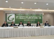 PT. GOZCO Plantations. Tbk Memaparkan Laporan Keuangan 2024 Yang Meningkat Daripada Tahun Lalu Yaitu Laba Tahun Berjalan Rp. 62,4 Miliar & Pendapatan Bersih Rp. 804 ,6 Miliar Dengan Menetapkan Capex 2025 Rp. 152 Miliar