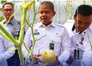 Dirjenpas dan Direktur Tekforma Panen 800 Kg Melon di Lapas Sukamiskin: Bukti Nyata Pembinaan dan Inovasi Teknologi