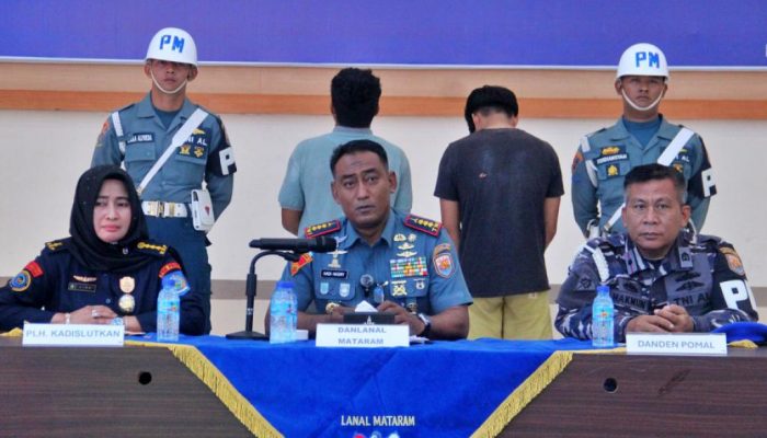 TNI AL Gagalkan Penyelundupan Benih Lobster Ilegal di Perairan Sumbawa, 21 Orang Diamankan