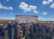 Polda Kalsel Gelar Panen Raya Jagung Serentak, Dukung Swasembada Pangan 2025