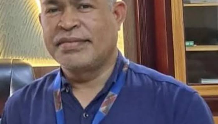 Kinerja Cepat BNPB Jadi Kunci Efektif Penanganan Bencana Sumatera