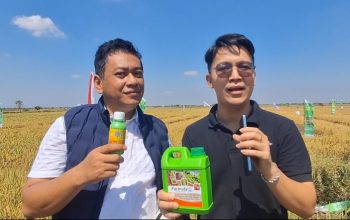 Sinergi Wujudkan Swasembada Pangan: Formula Top Indonesia Hadiri Panen Raya Padi di Demak