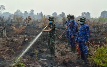 Cegah Kebakaran Kembali, Lanud Harry Hadisoemantri Dinginkan 138 Hektare Lahan Bekas Terbakar