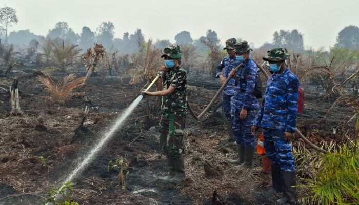 Cegah Kebakaran Kembali, Lanud Harry Hadisoemantri Dinginkan 138 Hektare Lahan Bekas Terbakar